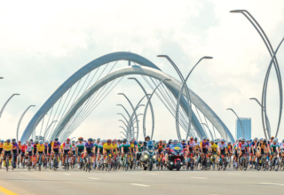 wp header logo177049801287856979