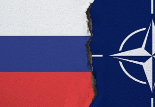 wp header logo17704980721163222816