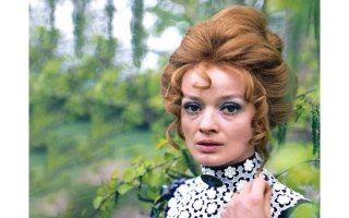 wp header logo17705124161668915461