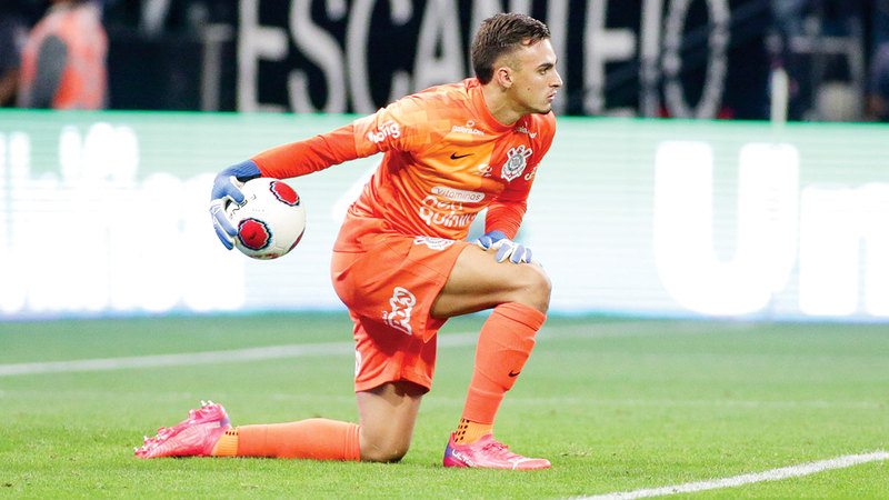 wp header logo17705124202071318305