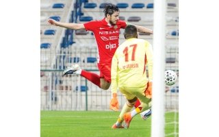 wp header logo17705124511354135935