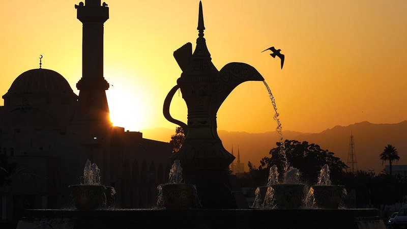 wp header logo17705124641446848535