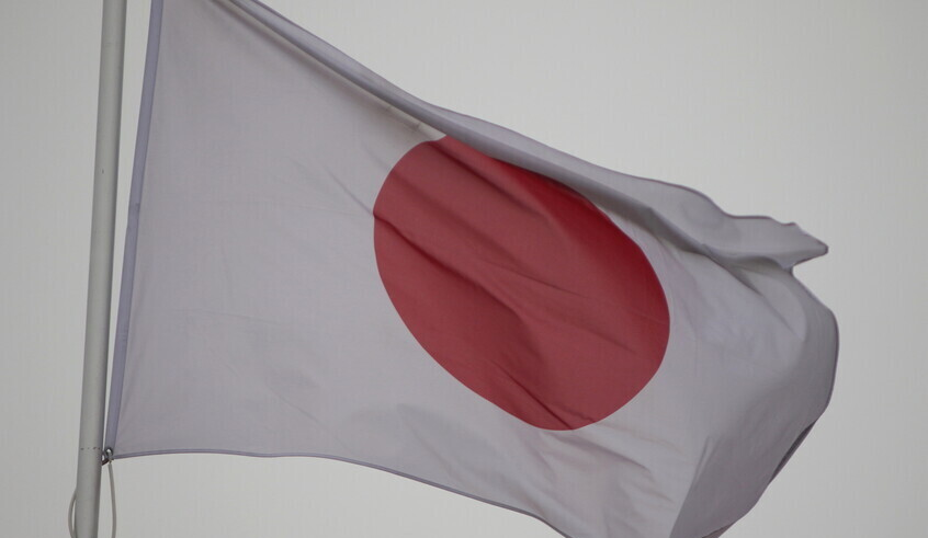 wp header logo17705340421644217558