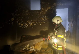 wp header logo17705376131332965881