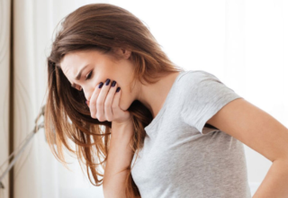 wp header logo1770537625106585430