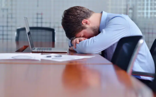 wp header logo1770544807740536412