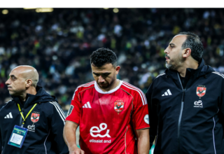 wp header logo17705556191085671449