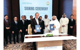 wp header logo17705988271102650269