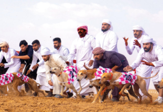 wp header logo17705988501099081734