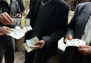 wp header logo17706168231801565651