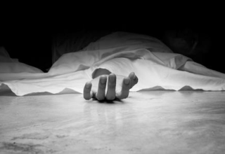 wp header logo17706204151598759513