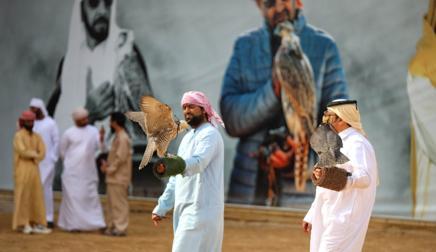 wp header logo1770660009455732902