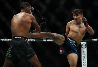 wp header logo17706600131489565966