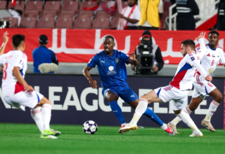 wp header logo17706636111835829961