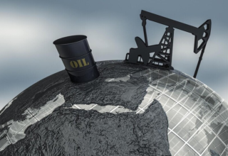 wp header logo1770663620110487184