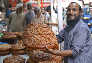 wp header logo1770670809674112104