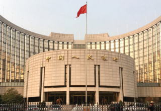 wp header logo17706852091212168583