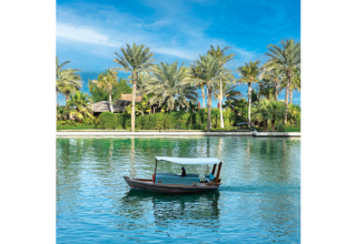 wp header logo1770685271620220241