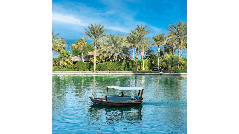 wp header logo1770685271620220241