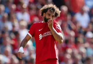 wp header logo1770699617975929003