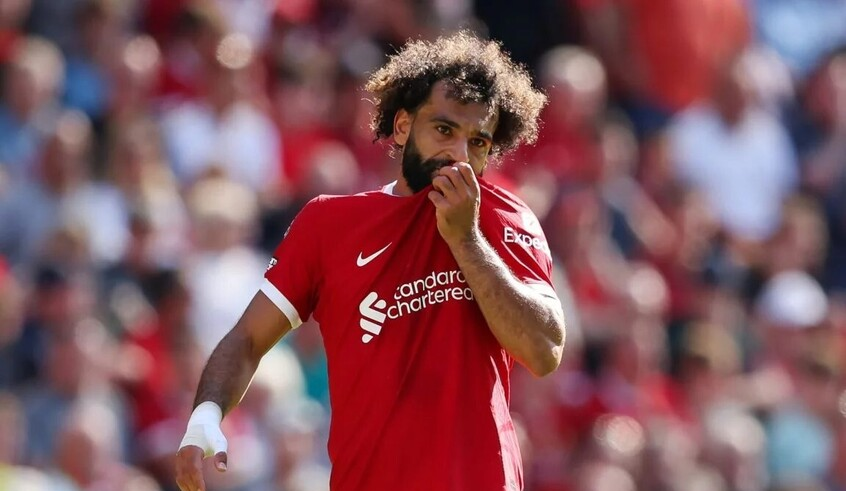 wp header logo1770699617975929003