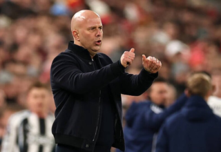 wp header logo17707104161222060599