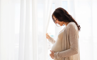 wp header logo17707140101023409945