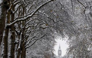 wp header logo17707176081553969300