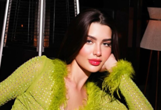 wp header logo1770717623754029195