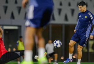 wp header logo17707212201871013881