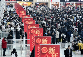 wp header logo1770728426451136007