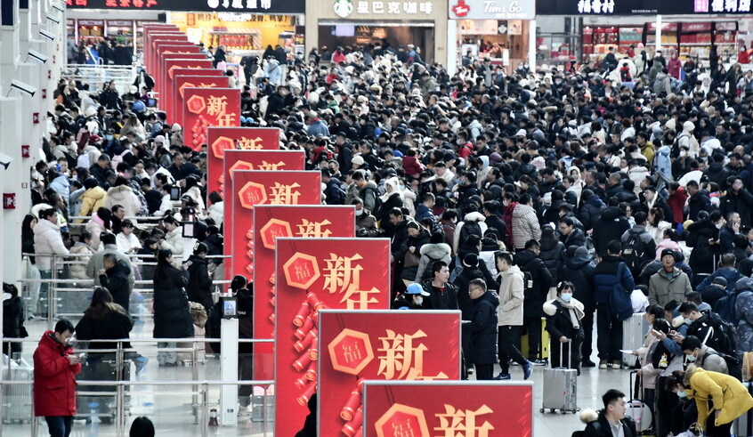 wp header logo1770728426451136007