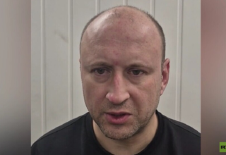 wp header logo1770728426571113004