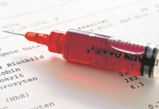 wp header logo1770732008256174226