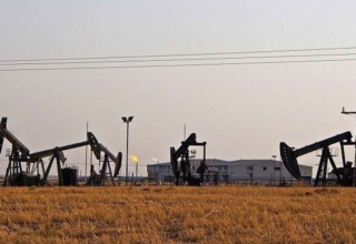 wp header logo1770746412449283187