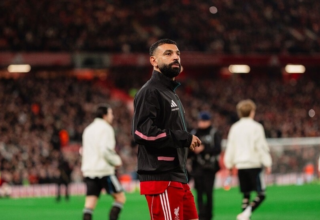 wp header logo1770757209719703276