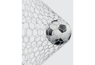 wp header logo17707716331010011907