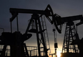 wp header logo17707860391684552080