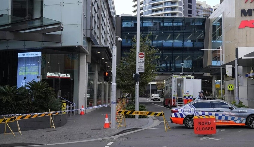 wp header logo17707896091678861749