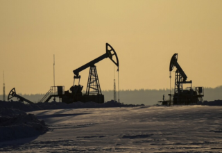 wp header logo17707968241552067000