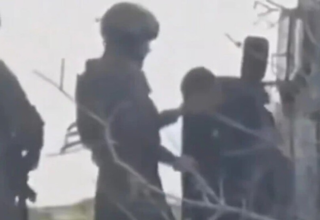 wp header logo17708040441181784887