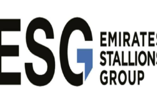 wp header logo17708076111404193525