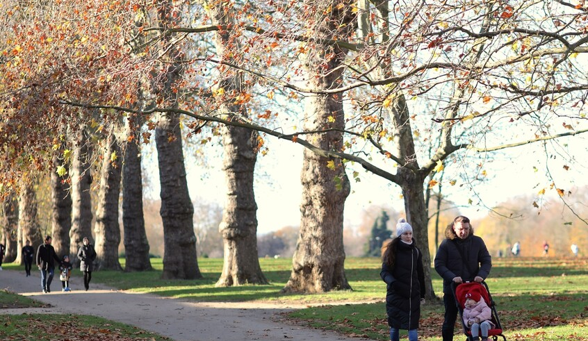 wp header logo1770807621157185692