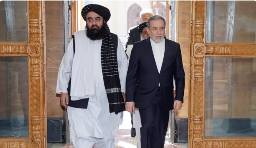 wp header logo17708076631615196460