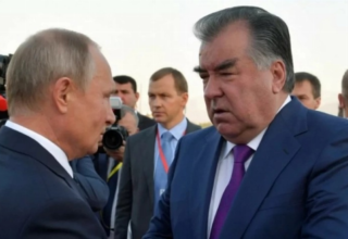 wp header logo17708112061905918036