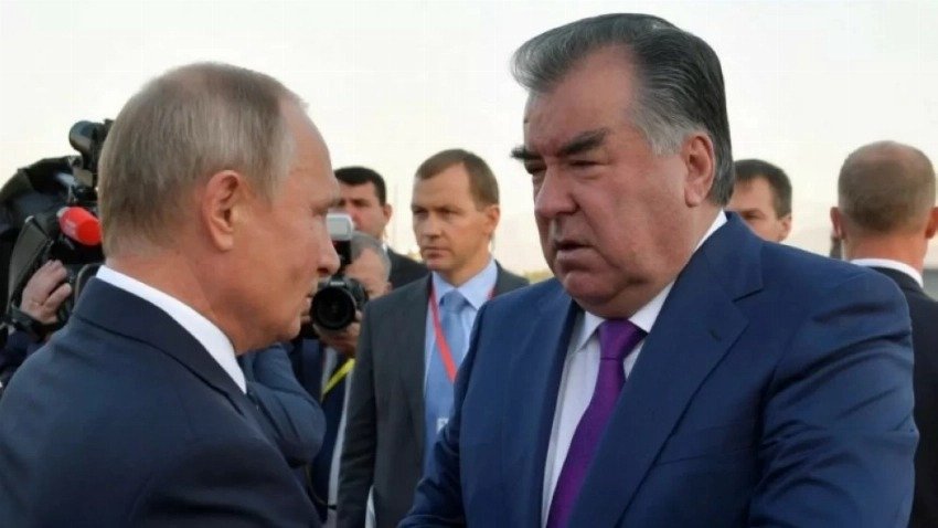 wp header logo17708112061905918036