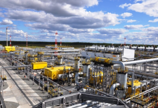 wp header logo17708112081807715568