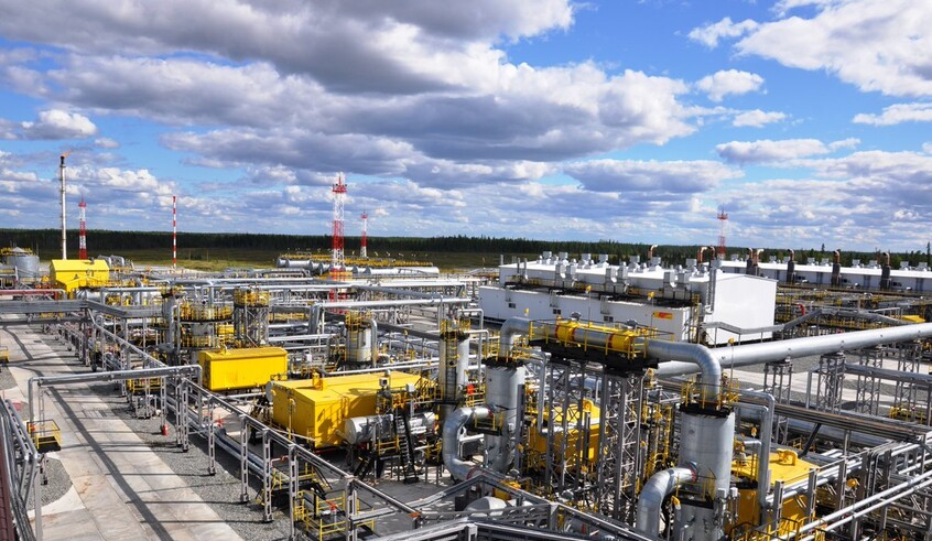 wp header logo17708112081807715568