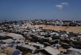 wp header logo1770814897296691176