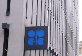 wp header logo17708220342038030565